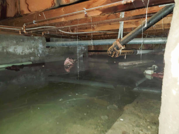 Best Flood restoration services  in North Industry, OH