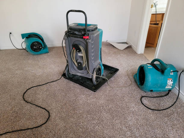 Best Water damage cleanup near me  in North Industry, OH