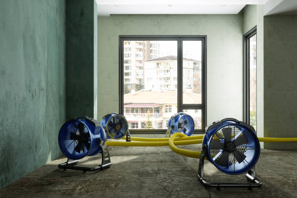 Best Basement water damage restoration  in North Industry, OH