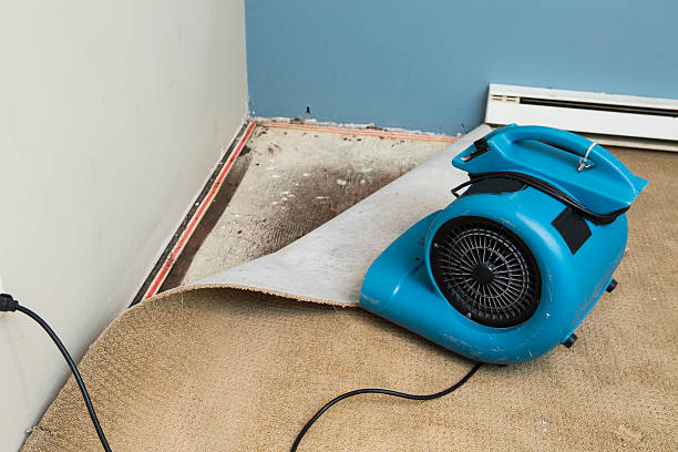 Best Carpet water damage restoration  in North Industry, OH